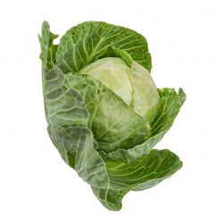 Cabbage