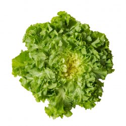 Escarole