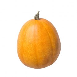 Tatume Squash