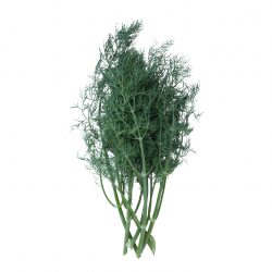 Dill