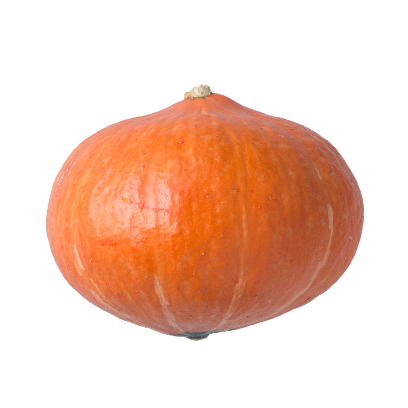 Red Kuri Squash