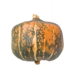 kabocha