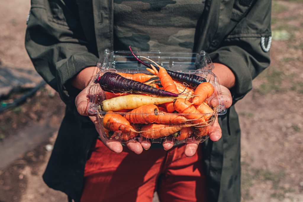 Washed Baby Carrots