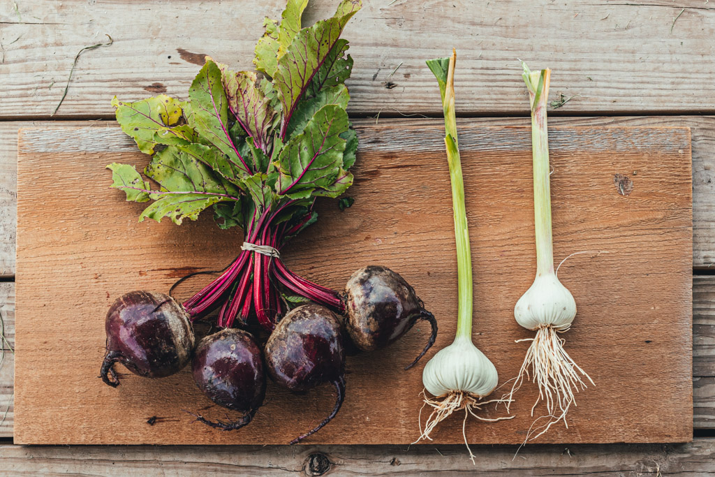 last of the season beets and green garlic